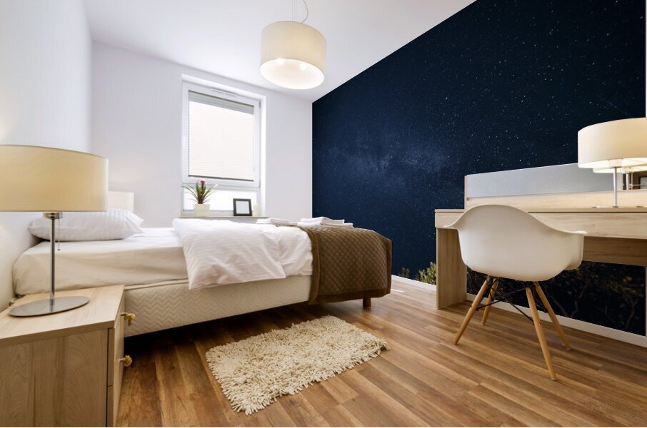 Starry Night Mural print
