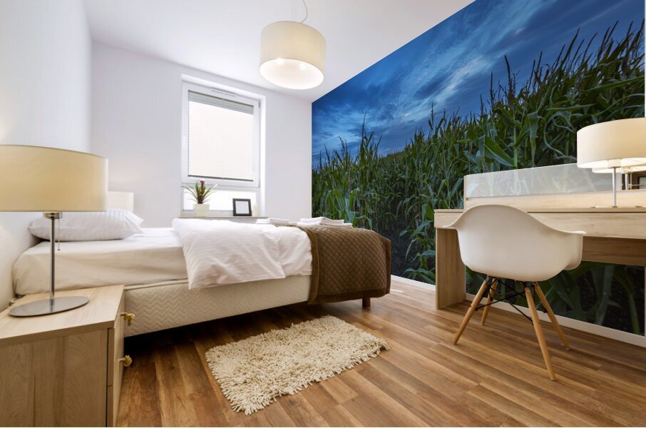 Cornfield at Sunset Impression murale