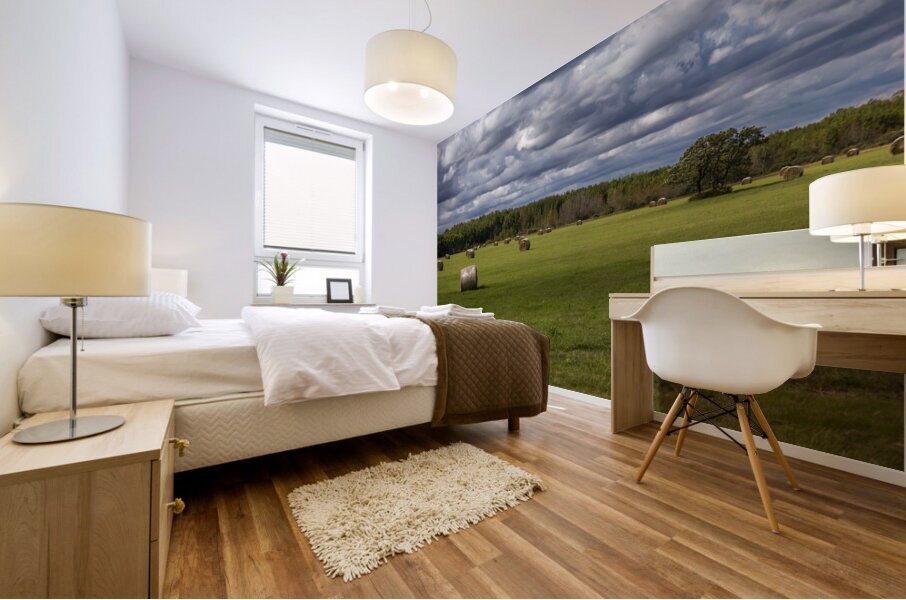 Haybales Under a Cloudy Sky Mural print