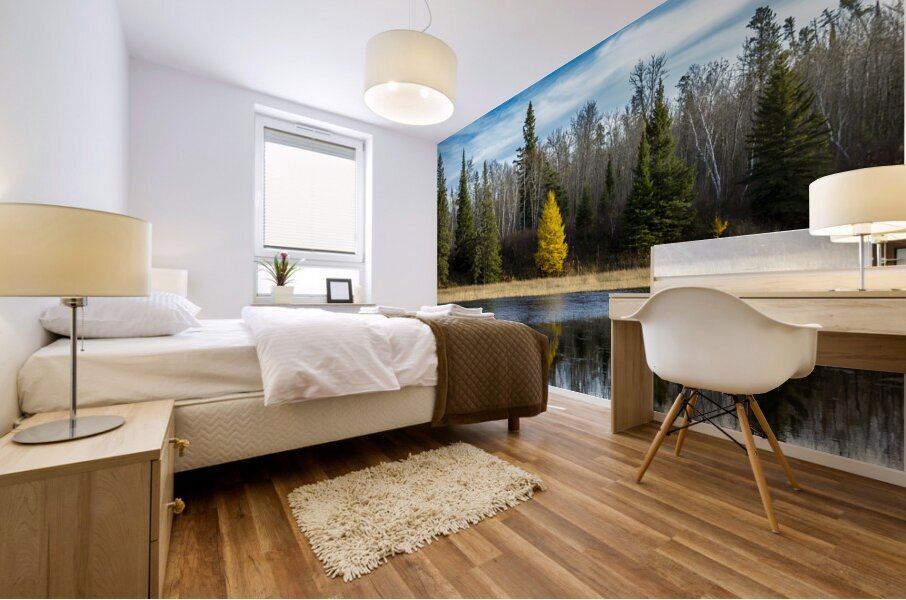 Tamarack Reflection Mural print