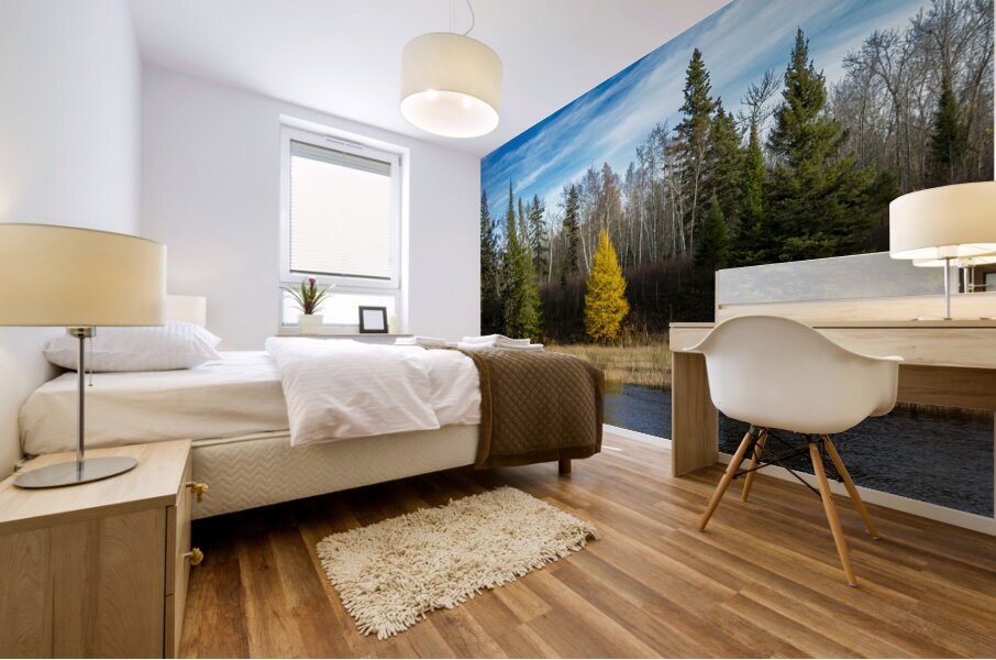 Lone Tamarack Tree Mural print