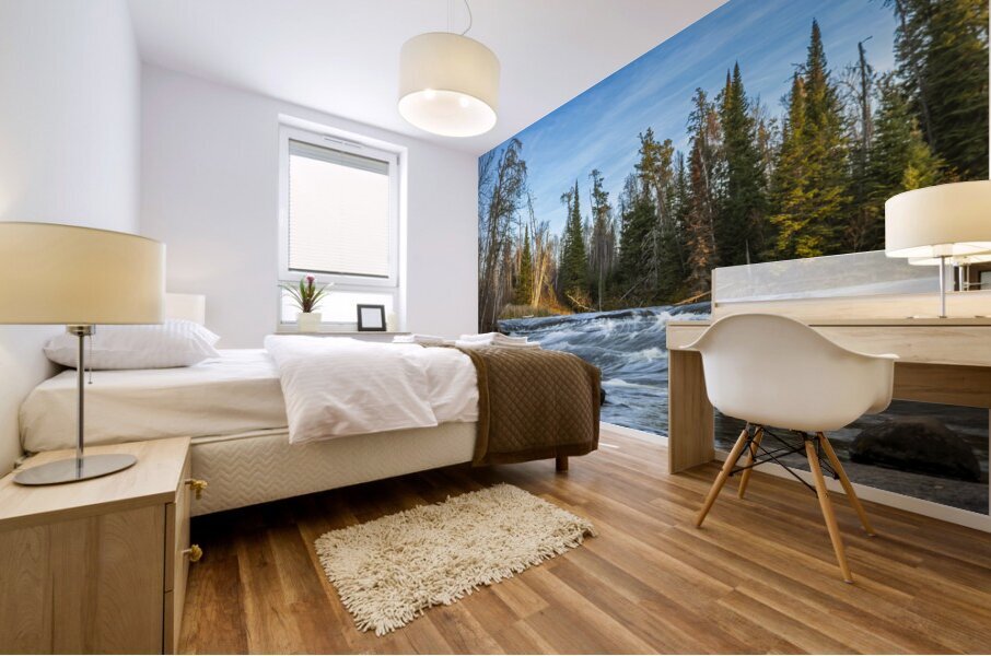 Falls at Pine Point Rapids Mural print