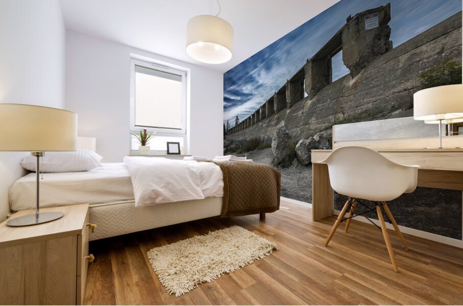 Dam Ruins Mural print