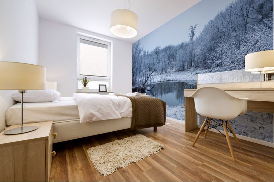 River in First Snowfall Mural print