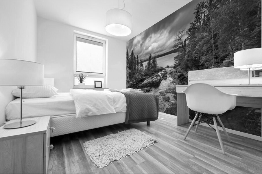 Tulabi Falls on a Rainy Day - B&W Mural print