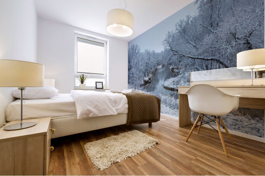 Freezing River Impression murale