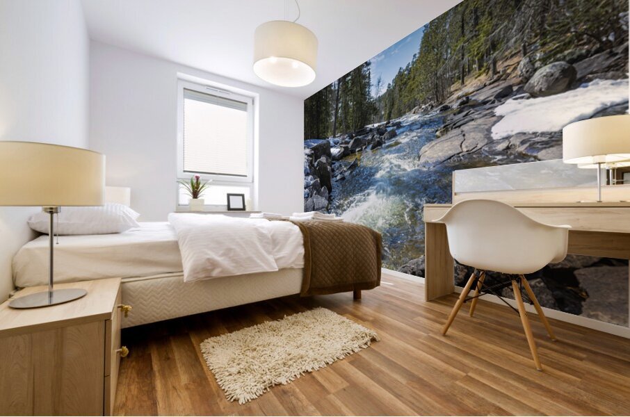 Cascading Waters Mural print