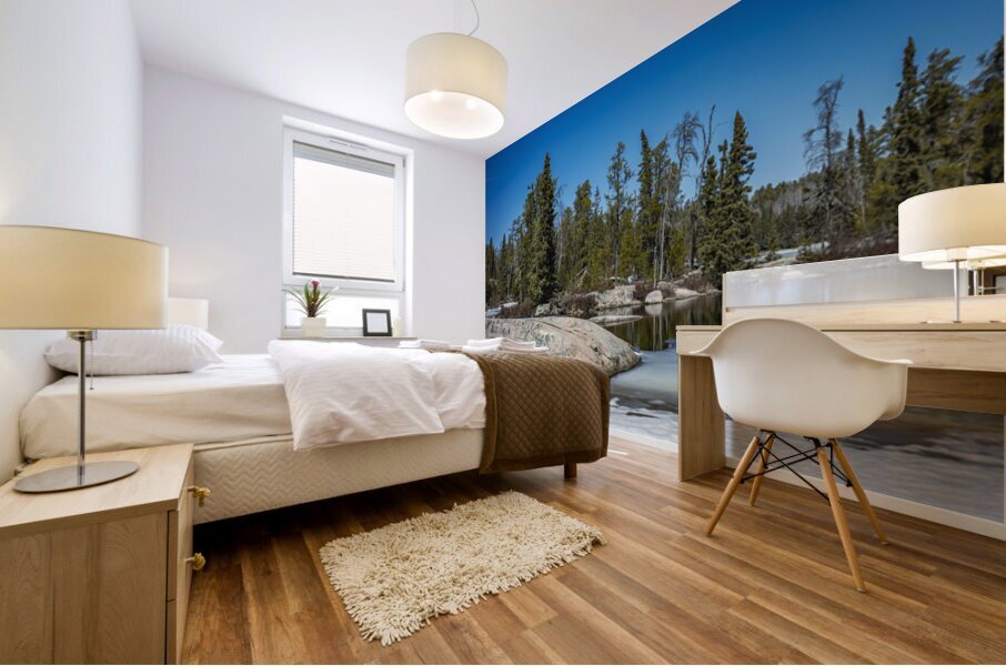 Melting Ice Mural print