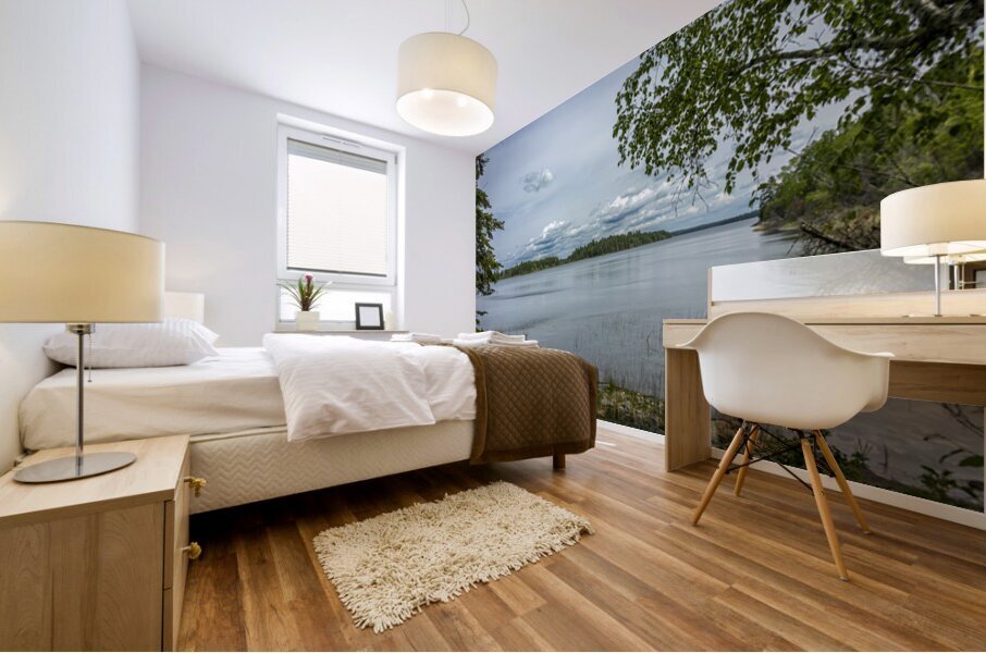 Shoal Lake View Mural print