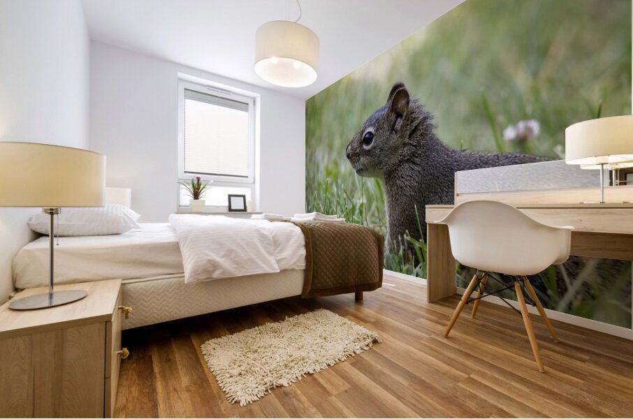 Squirrel Mural print