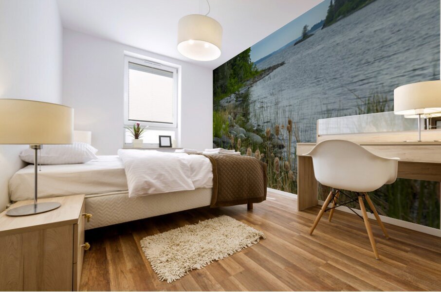 Morning on Shoal Lake Mural print