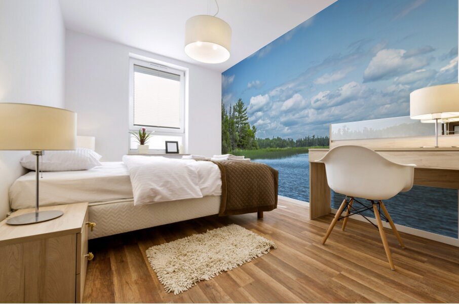 Lake of the Woods View Impression murale