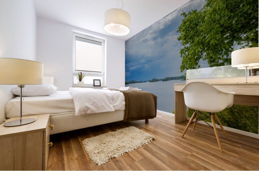 Lake of the Woods Shore Impression murale