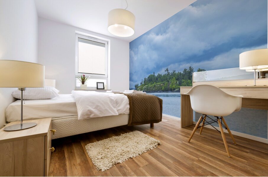 Island On Shoal Lake Mural print