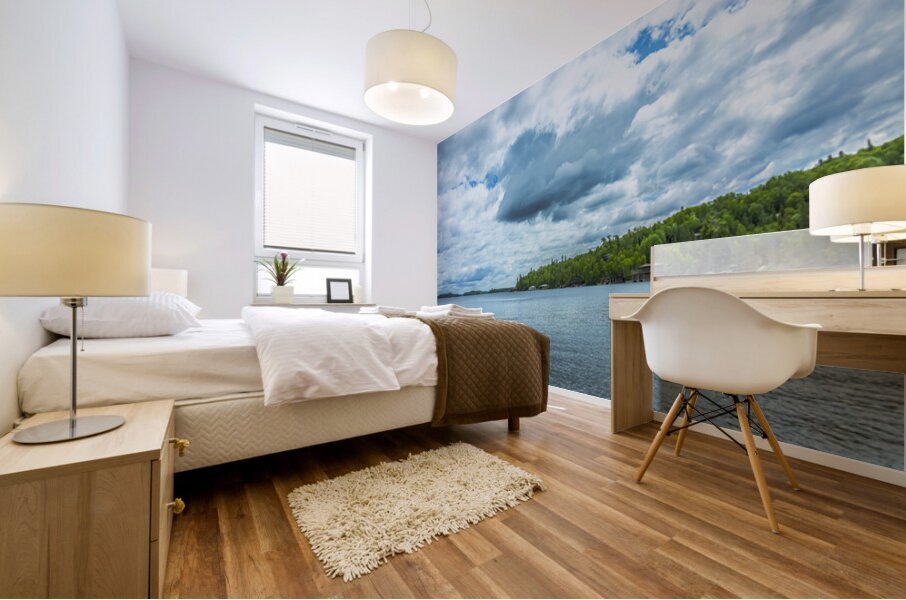 Lake of the Woods View Mural print