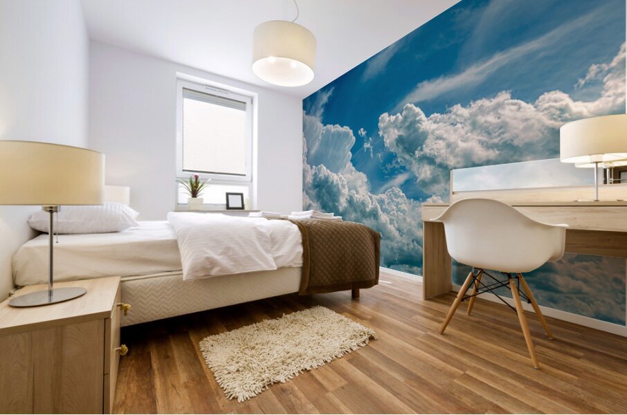 Cloudscape Mural print