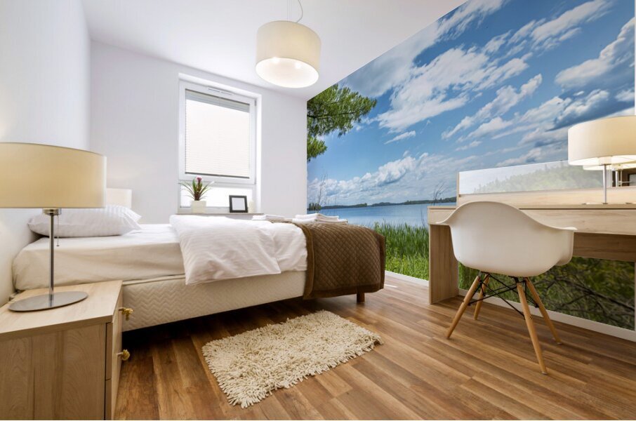 Lake of the Woods View Mural print