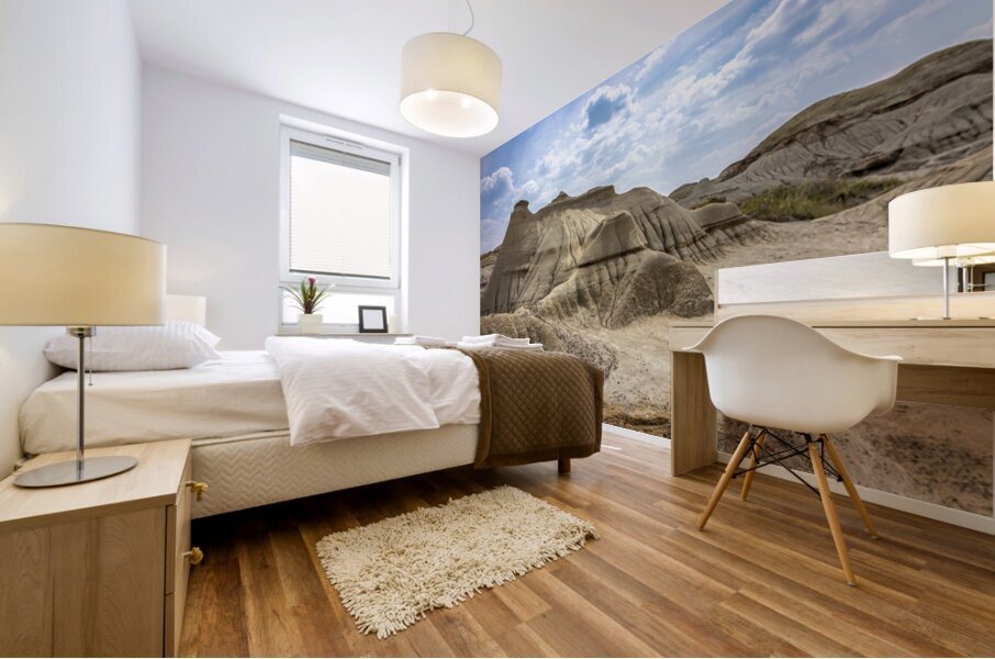 Badlands Mural print