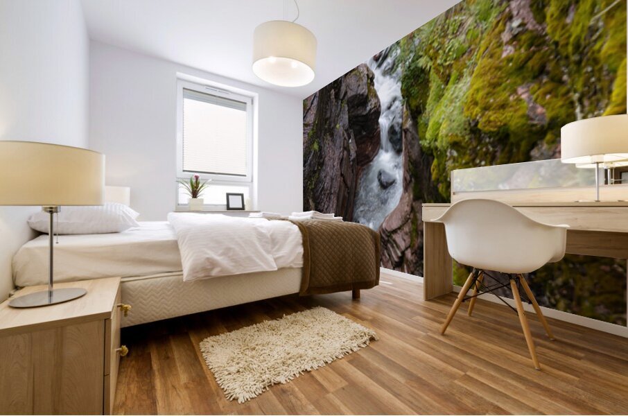 Red Rock Canyon Impression murale