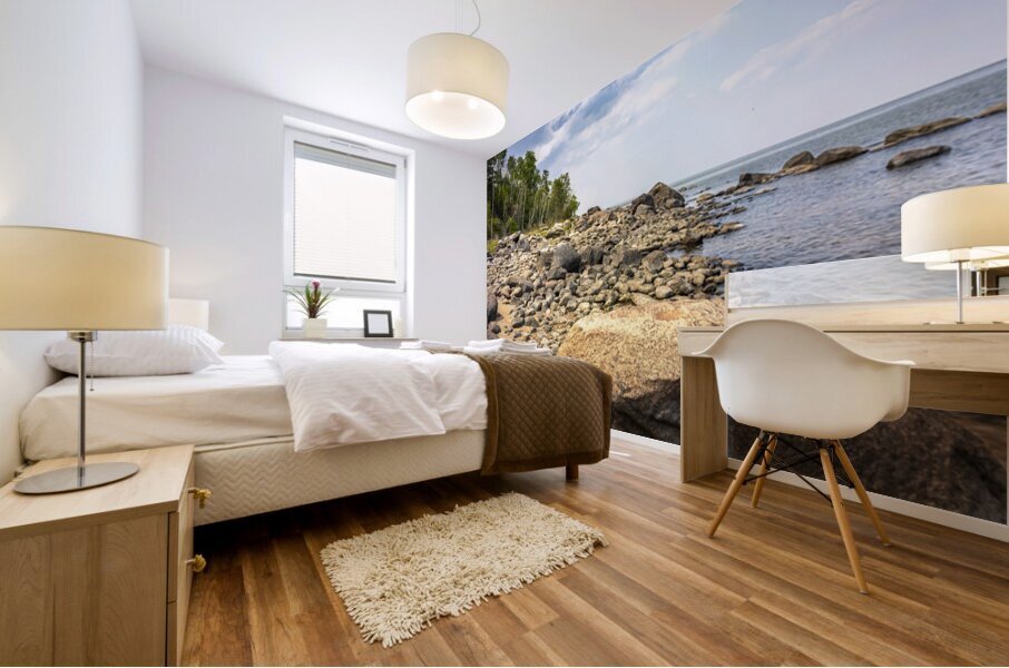 Rocky Beach Mural print