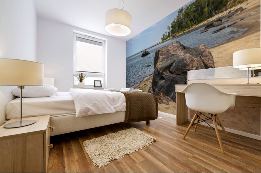 Rocky Beach Mural print