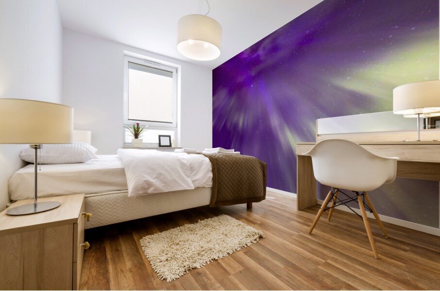 Night Bloom Mural print