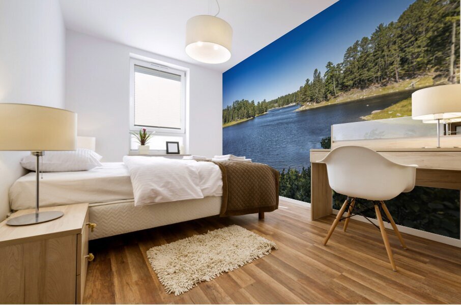 Tunnel Island Trail Mural print