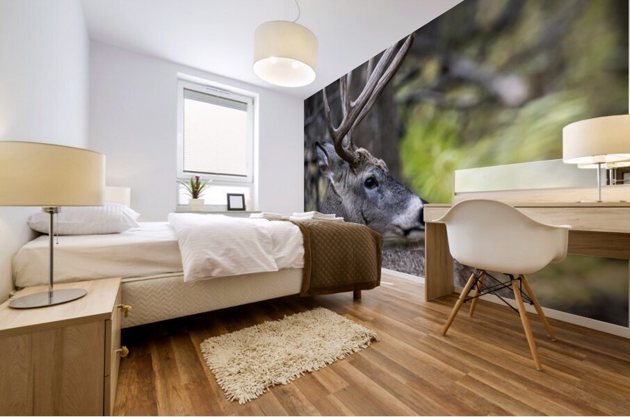 Antlers and Autumn: A Portrait of Natures Beauty Mural print