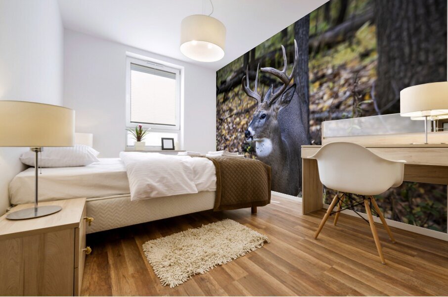 Antlers and Autumn: A Portrait of Natures Beauty Mural print