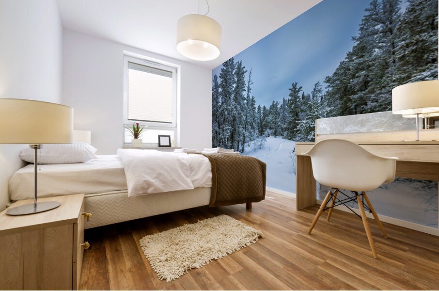 Winter on Hanson Creek Trail Impression murale