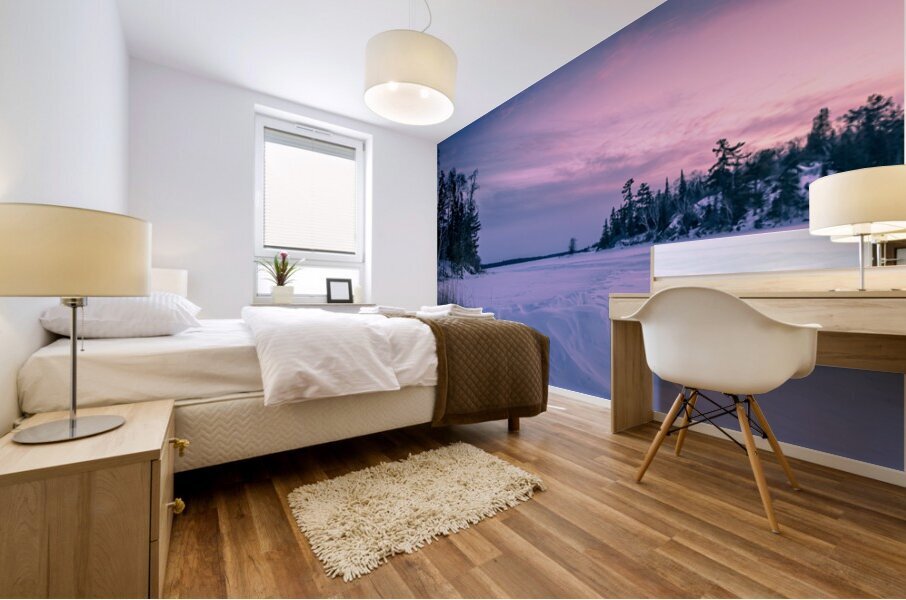 Frozen Lake at Dusk Mural print