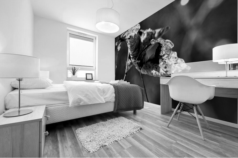 Frosted Edges Mural print