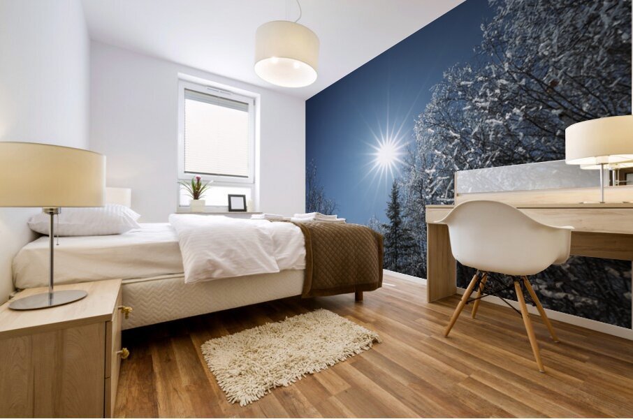 Winter Sunburst Mural print