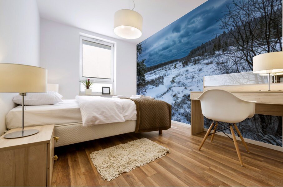 Winter Quietude Mural print