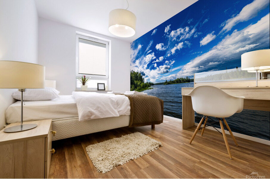 Falcon Lake Mural print