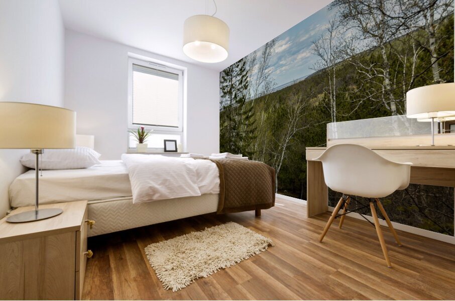 Ancient Beach Trail Mural print