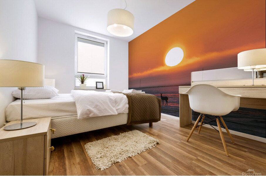 Deer in Sunrise Mural print