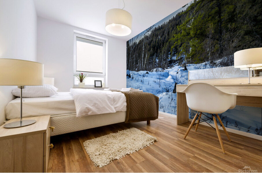 Winter Trail Mural print