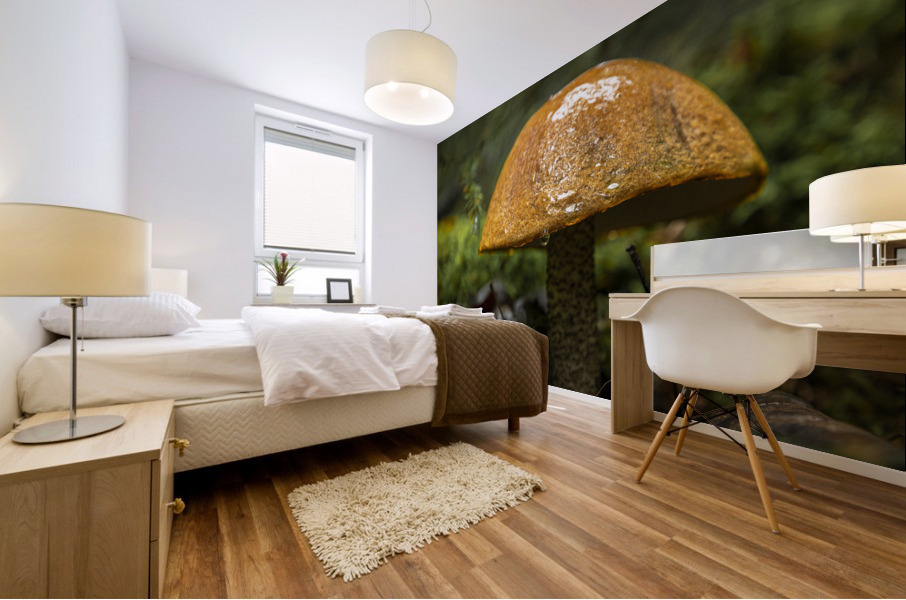 Mushroom after the rain Mural print