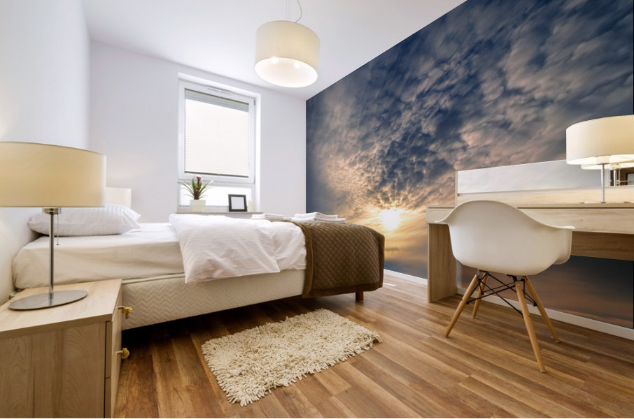 Sunset Over Winter Field Mural print