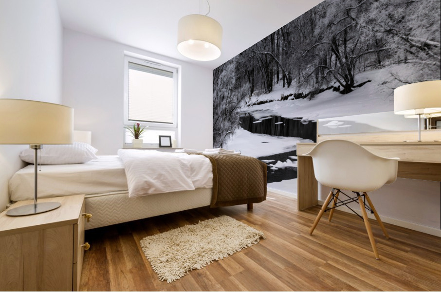 Spillway in Winterfog Mural print