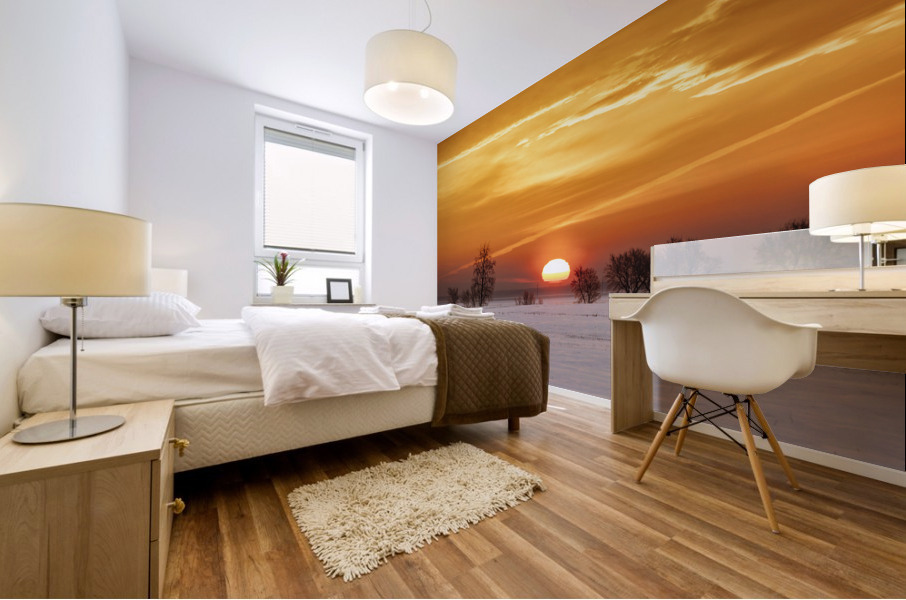 Fireball Mural print