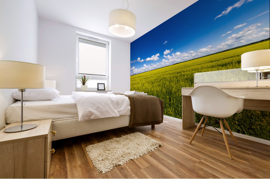 Blue and Yellow Mural print