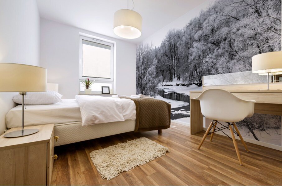 Spillway in Winterfog Mural print