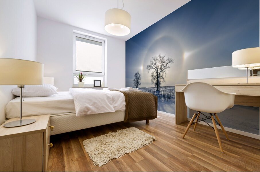 Sundogs Behind Lone Trees Mural print