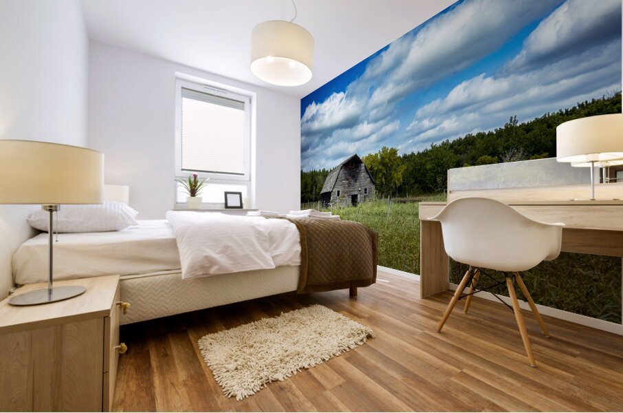 Old Barn on a Cloudy Day Mural print