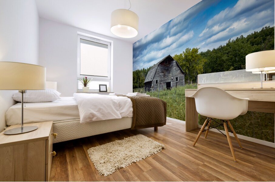 Old Barn on a Cloudy Day Impression murale