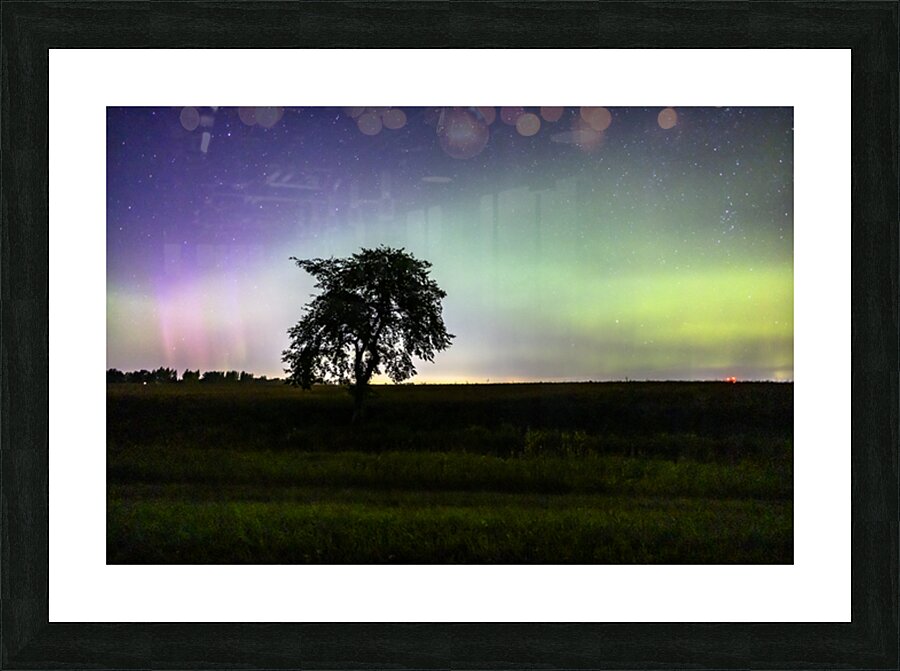 Lone Tree and Northern Lights Impression et Cadre photo