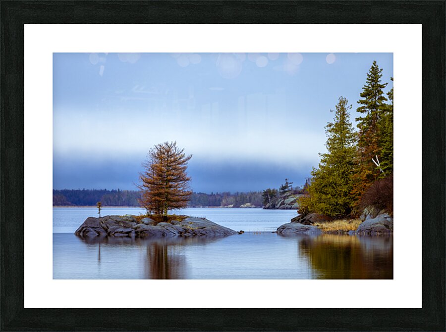 Tree on a Shoal Picture Frame print