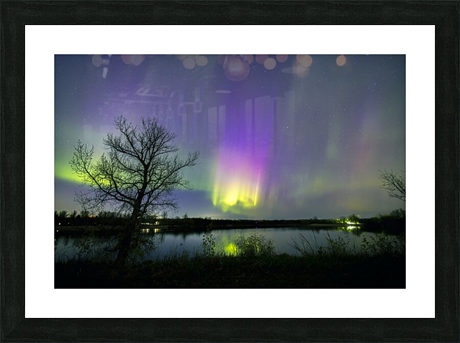Comet Fall Aurora by lone Tree Impression et Cadre photo